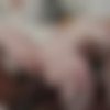 [NewSensations.com] Haley Spades - Bootyful Babysitter Haley Spades Comes In For A Bite [2023-10-28, Blonde, Blowjob, Cowgirl, Deep Throat, Facial, Interracial, Teen, 2160p, SiteRip] thumb