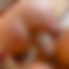 [LegalPorno.com / AnalVids.com] Pure Kitty - Hard Anal Fuck Teen Pure Kitty with Balls Deep Anal, Gapes and Cum on Mouth (2023-01-31) [2023, anal, blowjob, facial, gapes, rough, small tits, teen, 1080p, SiteRip] thumb