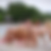 [Hegre.com] 2019-12-17 Ariel, Marika & Melena Maria - Naked Tropical Trio [BTS, Photoshoot, Outdoors, Posing, Natural, 1080p] thumb