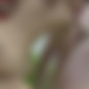 [GANG BANG / PutaLocura.com] Erika Sevilla (Sexo cerdo con su novio y muchas pollas mas! / 17.12.2012) [Natural Tits, Cumshot, Orgy] [720p] thumb