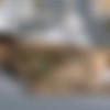 fitting-room.com andy.bloom - unbelievable thumbnail