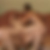 [hometeenvids.com] 2 Teen Girls Fuck Guy [All sex,3Some,Anal,Teens][2010] thumb