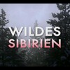 Siberias Wild Year 2017 2160p WEB H264-CBFM thumb