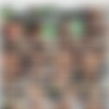 [BigTitCreamPie.com / BangBros.com] Crystal Rush (Gold Digger Gets a Creampie / 10.01.19) [2019 ., blowjob, brunette, white, hardcore, amateur, creampie, big tits, shaved, cum shot, cowgirl, busty, doggystyle, missionary, riding, vaginal] thumb