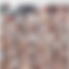 Group Sex is The Best 10 /    10 (Private) [2025 ., Anal, Cumshot, Facial, Orgy, VOD, 1080p] (Split Scenes) (Clea Gaultier, Julia Pink, Julia Roca, Kayla Green, Lana Vegas, LiLi, Texas Patti) thumb