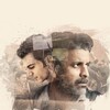 Aligarh [2016] / MPEG2 / VOB IFO / DVD / SD / AC3 / Subs thumb