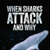 When Sharks Attack And Why S01 1080p WEB-DL DDP5.1 H.264-EDITH thumb