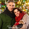 Dashing Through the Snow 2015 1080p WEBRip DDP 2 0 H 265 -iVy thumb