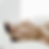 [TheWhiteBoxxx.com / PornDoePremium.com] Eveline Dellai (Sultry Italian babe Eveline Dellai gets her hot ass fucked and cum covered / 2017-05-28) [Anal, All Sex, Blowjobs, 720p] thumb