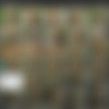 [JayEdwards.com] -: 10  (JEV 3,4,5,8,9,22,30,53,57,67) [Bondage, Fetish, No Sex, VHSRip] thumbnail