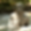 [MudPuddleVisuals.com] MPV - Premial MiniPack / MPV - - (3 vids, Dave Lodoski, Mud Puddle Visuals) [2013 ., WAM, Fetish, 720p, HDRip] thumbnail