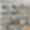 SpecialExamination.com [Siterip till August 2011] thumbnail