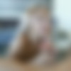[Cum4K.com] Hime Marie - Cum Filled Stepdaughter (05.03.2019) [All Sex, Blowjob, Creampie, 1080p] thumb