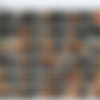 [Born2Tease.net] Partial SiteRip MegaPack 2013-2019 thumb
