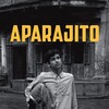 Aparajito [1956] / H264 / MKV / Blu-ray / 1080p / PCM / Bengali / Subs thumb