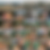 Decibelle - Megapack (86 videos, 169 images) thumbnail