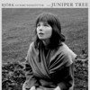 The Juniper Tree [1990] / H264 / MKV / Blu-ray / 1080p / FLAC / Subs thumb