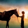 Secretariat [2010] / H264 / MKV / Blu-ray / 1080p / DTS / Subs thumb