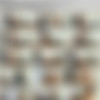 SpecialExamination.com [Siterip till August 2011] thumbnail