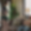 [Penthouse Gold] - 24.07.15 - Hazel Moore - Hazel Moore Gets Her Roommate Rock Hard 1080p.mp4 thumb