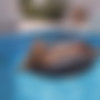 [Watch4Beauty.com] Alissa Foxy Lounging by The Pool [2022-09-02, Solo, Outdoor, 1080p, SiteRip] thumb