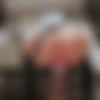 [Fansly.com] NowFaceBaby - Full😘 [28.08.2024, Anal, Anal Play, Fisting, Hardcore, Dildo, Prolapse, Solo, 2160p, SiteRip] thumb