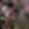 [BUKKAKE / PutaLocura.com] Zenda (Corridas para las tetonas! / 08.06.2012) [Natural tits, Cumshot, Bukkake] [720p] thumb