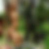 [PainGate.com] Scary Dream /   (Alex / 904) [2010 ., BDSM, SiteRip] thumb