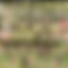 [WOWGIRLS.COM] Image siterip, 622 sets [2018, 2019] thumb