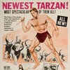 Tarzan Goes to India 1962 1080p BluRay DDP 2 0 H 265-iVy thumb