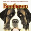 Beethoven 1992 1080p BRRip DDP 2 0 H 265 -iVy thumb