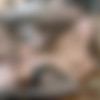[ElegantAnal.com / Babes.com] Katrin Tequila - Just A Moment (18.11.2016) [All sex, Anal, Blowjob, SiteRip] thumb
