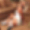 [JayEdwards.com][HarmonyConcepts.com] - Jay Edwards: 11  (JE series 12,13,14,16,17,19,20,22,28,29,53) [Bondage, Fetish, No Sex, VHSRip] thumb