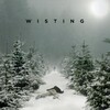 Wisting S03E03 NORDiC 1080p VIAP WEB-DL DD5 1 H 264-DKV thumb