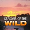 Seasons of the Wild S01E02 2160p WEB H265-JAVLAR thumb