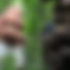 [PublicPickUps] Zazie Skymm - Euro Babe Fucked in the Woods [WEB-DL, 720p] thumb
