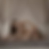 [PlayboyPlus.com] 2020 Alice Shea & Gloria Sol - Enchanted Dreams 11.01.20 [Erotic] [1080p] thumb