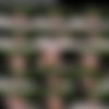 [ALSScan.com] Rachel Rivers - Horny Hoopla BTS [2021-03-29, Solo, Masturbation, Brunette, Peeing, Pissing, Finger Spreading, Glass Dildo, Anal, Anal Toy, Small Tits, Petite, Bare Feet, Photoshoot, Outdoor, Bikini, Teen, Latina, 1080p, SiteRip] thumb