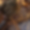 [Lesbea.com / SexyHub.com] Veronica Leal, Nancy A, Ginebra Bellucci (Outdoor lesbian threesome at sunset) [2019-08-04, Lesbian, 1080p] thumbnail