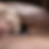 Infidelity Clause /   (Pure Taboo) [2023 ., Feature, Lesbian, VOD, 1080p] (Split Scenes) (Candice Dare, Evelyn Claire, Serene Siren, Tiffany Watson) thumb