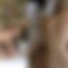 [ WoodmanCastingX.com] Nikki Hill(* UPDATED *)[2023, Gonzo, Hardcore ,All Sex ,Anal ,DP 1080p] thumb