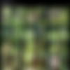 [Russian-Discipline.com]    (47 ) [2006-2013 ., BDSM, Spanking, Canning, Humiliation] thumb