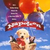 Napoleon 1995 720p WEB H264-DiMEPiECE thumb