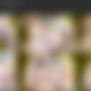 [Onlyfans] Siterip - @briarriley [904 images] [239 videos] thumb