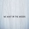 We Wait in the Woods [2020] / H264 / MKV / WEB / 1080p / AAC / BobDobbs thumb