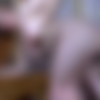 [FerroNetwork.com / PantyhoseScreen.com] Bertie A, Rolf (g684) [720p, SiteRip/2014 ., Ginger Hair,Natural Tits,Medium Tits,Pantyhose,All Sex,Oral,Cumshot] thumb