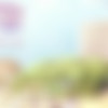 Feeling of Life [InProgress, v0.12.1] (DirtyPlaster) [uncen] [2017, ADV, RPG, Big Tits, Incest, Oral, Blowjob, Handjob, Ghost] [eng] thumb