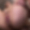 japanhdv.com hitomi.ohashi thumb