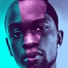 Moonlight [2016] / H265 / MKV / Blu-ray / 2160p / DTS / Subs thumb