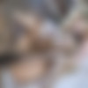 [ManyVids.com] Kazumi & Savannah Bond - Wet Threesome [2022, Asian, BBC, Blonde, Big Ass, Big Cock, Big Tits, Blowjob, Doggystyle, Facial, Interracial, Lingerie, Threesome (FFM), 1080p, SiteRip] thumb
